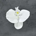 Cabeza de orquídea Phalaenopsis artificial blanca para decoración de bodas DIY y horquillas - Cabeza de Flor de Phalaenopsis / 9.5cm / Blanco puro