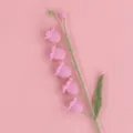 Detail of handmade crochet lily of the valley flowers with pink yarn on pink background - Pink