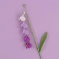 Beautiful handmade crocheted lily of the valley flower with purple gradient yarn texture detail - Gradient Purple