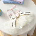 Élégante robe en dentelle pour animaux avec garniture en tweed et jupe en tulle - Robe Style Fragrance Fleurs 3D