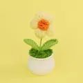 Handgehäkelte Blüte im Topf mit gelben Blütenblättern und weißem Gefäß als Deko - Große Einfachblühende Gelbe Bougainvillea Im Topf