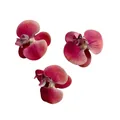 Set of 3 deep pink artificial Phalaenopsis orchid flower heads for DIY decoration - Grapefruit Color
