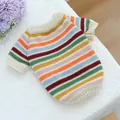 Colorful rainbow striped knitted pet sweater for small dogs and cats - Rainbow Mood Sweater