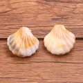 Perles de coquille en acrylique pour bijoux DIY thème océan bracelets et boucles - Coquillage 18 X 17 Mm 14 G / 1 pièce