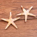 Paire de breloques étoiles de mer en acrylique pour bijoux DIY sur fond de bois - Coquillage 39 X 41 Mm 19 G / 1 pièce