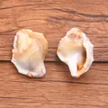 Vue macro réaliste de deux perles en forme de conque en acrylique crème pour bijoux DIY - Coquillage 21 X 26 Mm 22 G / 1 pièce