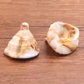 Pendentifs coquillages en acrylique pour la fabrication de bijoux DIY et boucles - Coquillage 22 X 25 Mm 47 G / 1 pièce