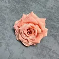 Elegante testa di rosa artificiale pesca 10cm per torte nuziali e decorazioni fai-da-te - Marrone chiaro