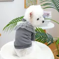 Grey ribbed pet base shirt with white lace ruffle collar for small dogs and cats - XS (Weight 1.5kg) / Tops / Dark Grey - White Lace Style