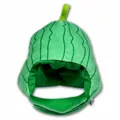 Cute plush pet headgear with green watermelon pattern for cats and small dogs - Watermelon Style