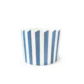 Premium blue and white striped muffin paper baking cup with decorative scalloped edges - Fine Blue Striped / 50 Pieces