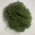 Muschio fibroso artificiale verde scuro premium per bonsai fai-da-te e paesaggi - Confezione da 10g / Verde erba