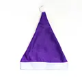 Festive purple Santa hat with white brim for Christmas parties and celebrations - Ordinary Non-woven Adult Style (30x40cm) / Purple