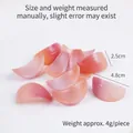 Realistic artificial pink onion slices simulation food model for play house toys - Onion Slice Model / Red - No Buckle