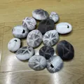 Natural assorted sand dollar shells for Mediterranean home decor and air plant pots display - Black Gray Fossil Urchin (4-6cm)
