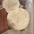 Conchas de Capiz naturales y translúcidas para decoración del hogar y manualidades - Sin Agujero / 20 Piezas/Paquete (5-9cm) / Dorado