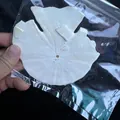 Broken fragments of a white natural sand dollar sea shell inside a clear plastic bag - Damaged Sand Dollar Urchin