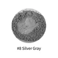8# Silver gray mermaid pearlescent mica powder pigment for DIY resin crafts and slime decoration - Pearl Powder #8 Silver Gray