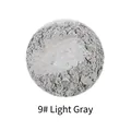 Premium light gray mica pearl powder for resin slime and DIY crafts, No. 9 variant - Pearl Powder #9 Light Gray
