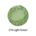 No. 17 Light Green pearlescent mica powder for resin crafts and DIY slime projects - Pearl Powder #17 Tender Green