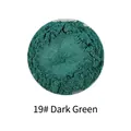Mermaid mica pearl powder pigment for resin DIY slime in 19# dark green color variant - Pearl Powder #19 Ink Green