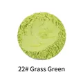Grass green mermaid pearl mica powder pigment for resin and slime crafts, color 22# - Pearl Powder #22 Grass Green