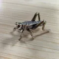 Handcrafted vintage metal cricket figurine desktop ornament with detailed distressed finish - Cricket A