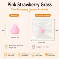 Pink strawberry stress relief squishy toy, 3cm diameter, available in ziplock bag packaging - Small Strawberry / Bulk/Loose Packaging / Pink