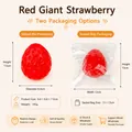 Red strawberry stress relief squishy toy with measurements and packaging options - Jumbo Strawberry / Bulk Packaging / Red