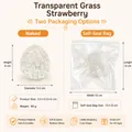 Transparent strawberry-shaped squishy toy for stress relief with dimensions and weight - Large Strawberry / Bulk Packaging / Clear