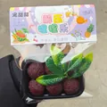 Primer plano de un juguete blando de madroño realista con hojas verdes en su embalaje final - Tipo En Caja / Fucsia