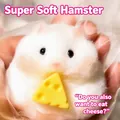 Cute white hamster squishy toy with cheese slow rebound stress relief variant - White Hamster / White
