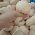 Gros plan d'un jouet spongieux en forme d'arachide pressé pour montrer sa texture à rebond lent. - Cacahuète Beige
