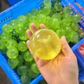 Jouet anti-stress en forme de pomme verte translucide pour la détente et le calme. - Pomme Verte au Maltose