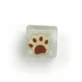 Transparent clear ice cube cat paw squishy toy for stress relief and sensory play - White Cat Paw