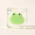 Cute green frog cartoon animal ice cube squeeze toy for stress relief and fun play - Frog