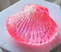 Pink gradient shell squeeze toy with sparkling glitter for stress relief and sensory play - Large Shell Squishy [Orange Red]