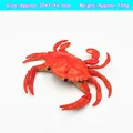 Realistic orange rubber crab model toy with squeaking sound for kids education - Simulation Crab (Red)