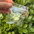 Mini cute cat paw squishy stress relief toy in a clear bag with red chain keychain charm - Transparent Green Cat Paw