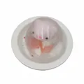 Pallina antistress trasparente con un simpatico personaggio animale rosa all'interno - Maiale