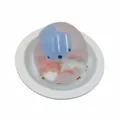 Simpatico giocattolo antistress a forma di animale blu per il relax e il gioco tattile - Piccolo Orso Pigro