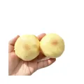 A pair of realistic potato squishy toys for sensory stress relief and slow rebound play. - Potato / Crispy Sound