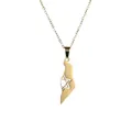 Collier avec pendentif carte Israël Palestine en acier inoxydable doré et étoile de David - Or