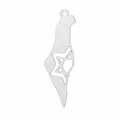 Collier pendentif carte Israël Palestine en acier inoxydable avec étoile de David découpée - Pendentif carte et étoile ajouré couleur acier