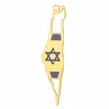 Collier pendentif carte d'Israël en acier inoxydable avec étoile de David bleue et or - Pendentif hexagramme émail bleu couleur or