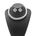 Nahaufnahme von elegantem silberfarbenem Schmuckset mit Kristallen für die Braut - Silberner Geflochtener Strass-Stil (N13917)