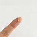 Detailansicht eines kleinen goldenen Chili-Anhängers auf einer Fingerspitze zum Größenvergleich - Chili Stil (P1-4) / Gold