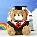 Cute graduation teddy bear plush doll wearing a black bachelor gown and red bowtie. - 25 cm Height / Dark Brown (Red Collar)