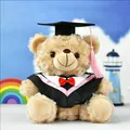 Cute plush teddy bear wearing black graduation doctoral gown with pink tassel and bow tie - Light Brown (Pink Collar)