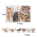 Natuurlijke zeeschelpen set met maataanduidingen voor DIY-sieraden, 100g opbergdoos inbegrepen - Set